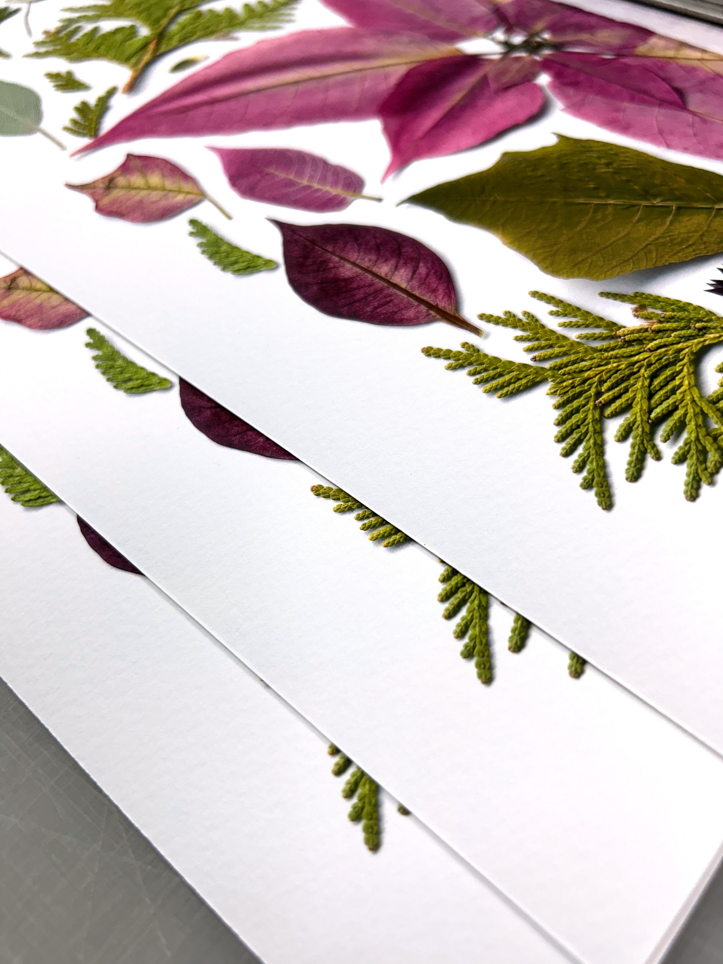 What Is Giclée Printing? The Complete Guide for Artists and Photographers