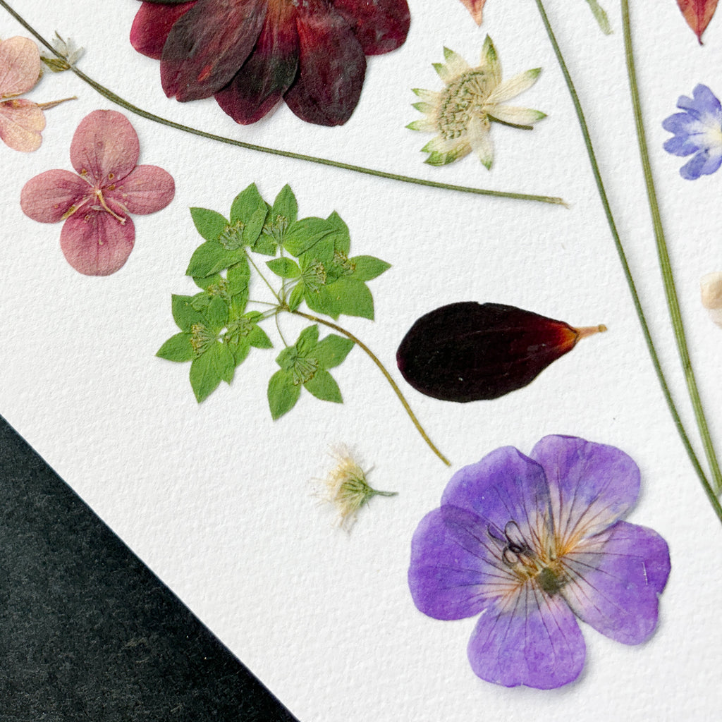 Epson Cold Press Bright