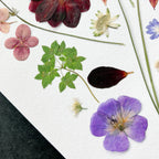 Epson Cold Press Bright