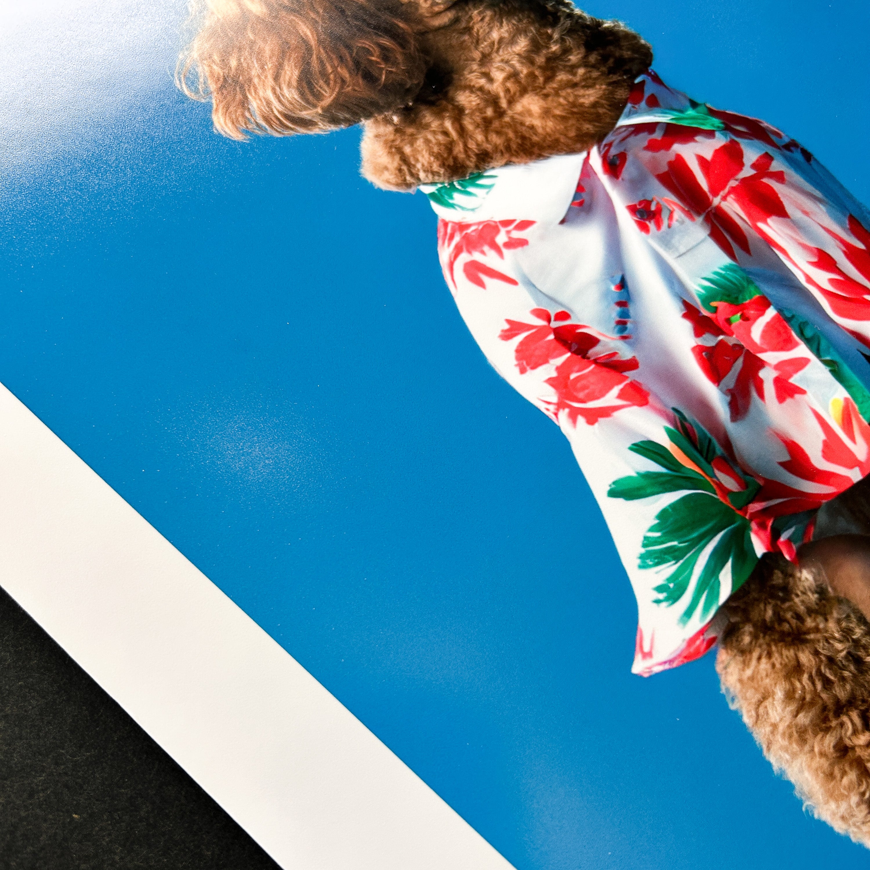 Epson Premium Luster