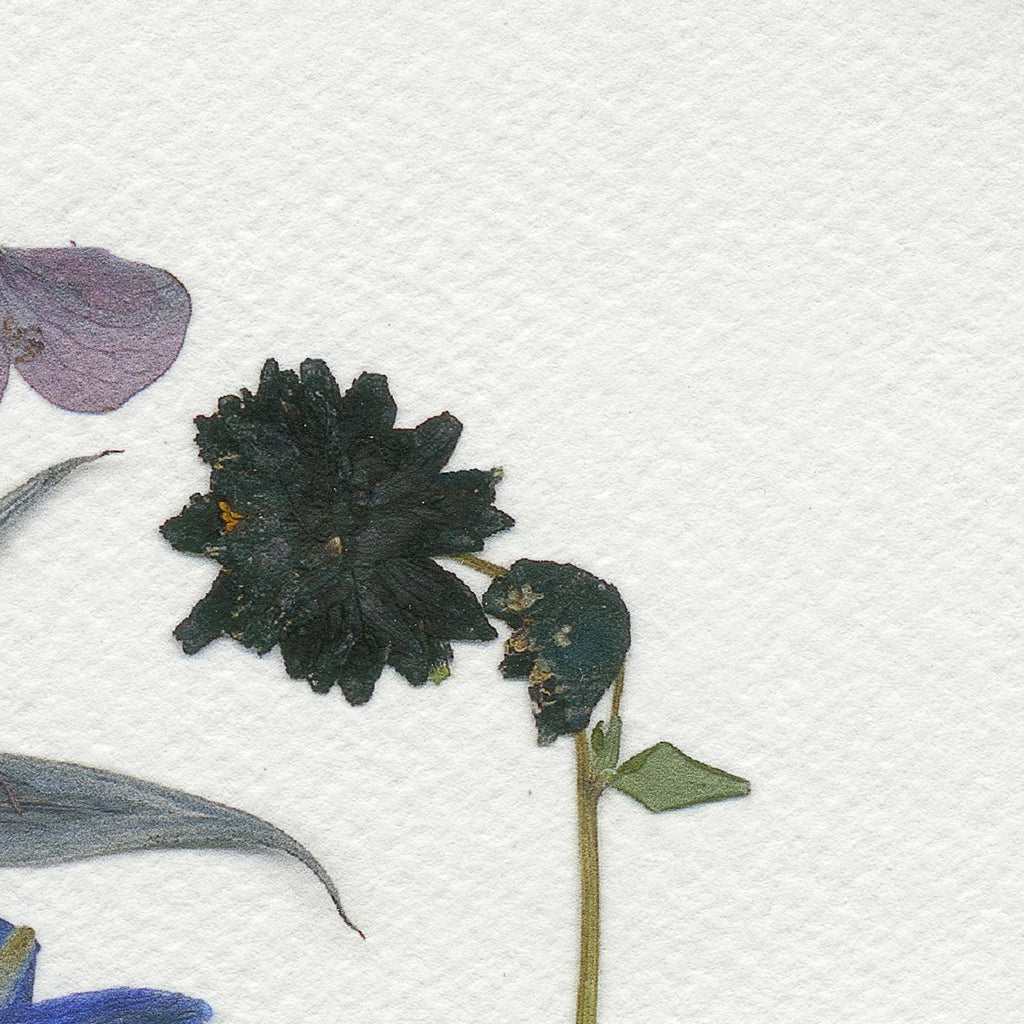 Epson Cold Press Bright