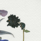 Epson Cold Press Bright