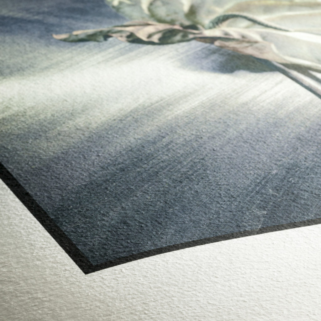 Hahnemühle German Etching 310gsm